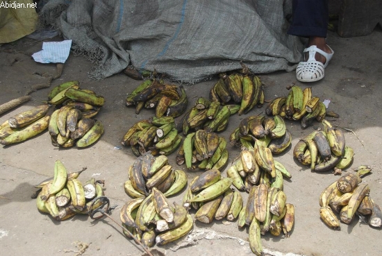 Flambée des coûts des denrées alimentaires, délestage, coupure d`eau : Des femmes de Yopougon crient leur ras-le-bol